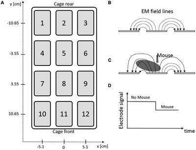 Measuring Locomotor Activity and Behavioral Aspects of Rodents Living in the Home-Cage